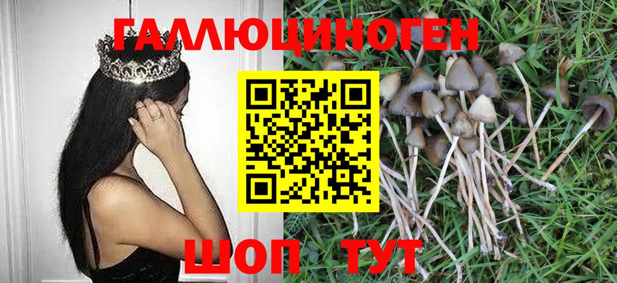 Асино  Галлюциногенные грибы Psilocybine cubensis  где можно купить   Вход с VPN 