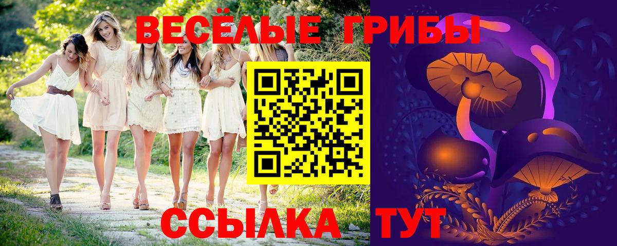 Галлюциногенные грибы Cubensis Асино