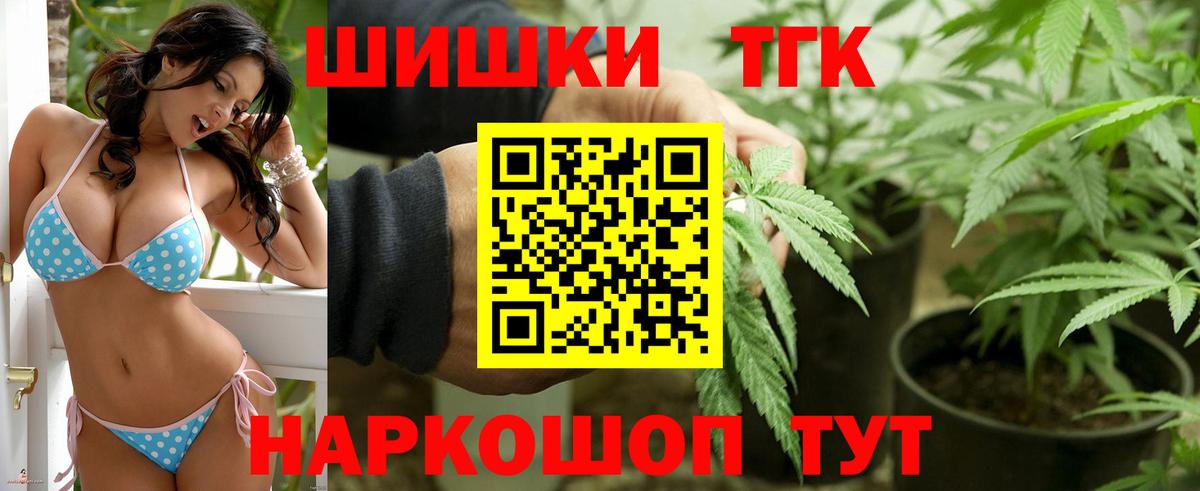 Каннабис планчик Асино
